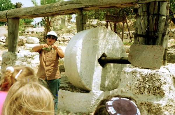 Millstone press for olives or grapes